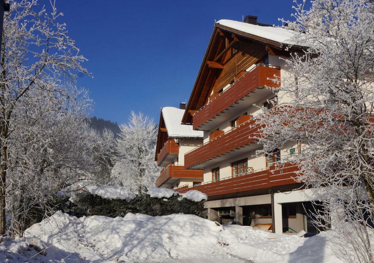 Appartementen Haus Bergblick Gosau Exterior foto