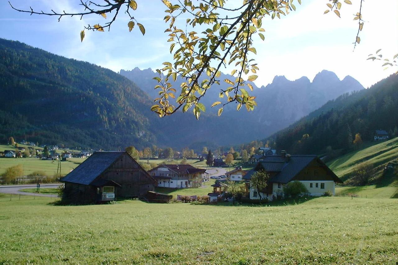 Appartementen Haus Bergblick Gosau Exterior foto